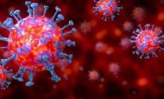 İstanbulda coronavirüs vaka sayısı kaç kişi virüsü kaptı